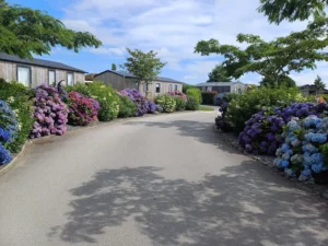 Camping Domaine de Kervel