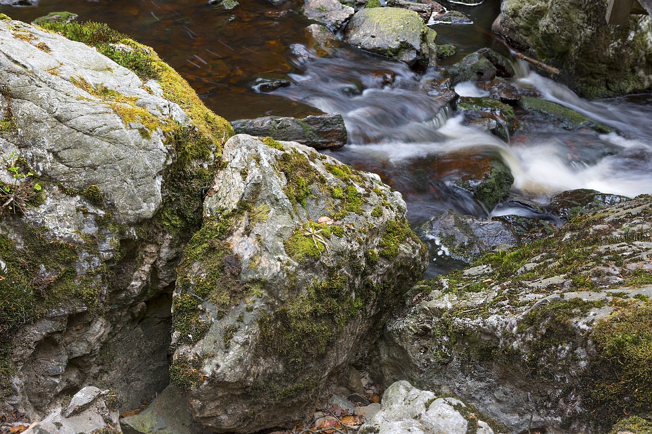 Natuur en heuvels in de Belgische Ardennen