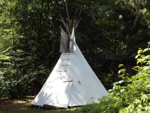 Wildkamperen in Nederland: regels, boetes en legale alternatieven (2026)