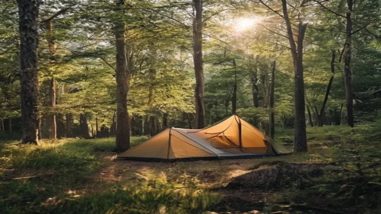 rustiek kamperen in een bos in Nederland